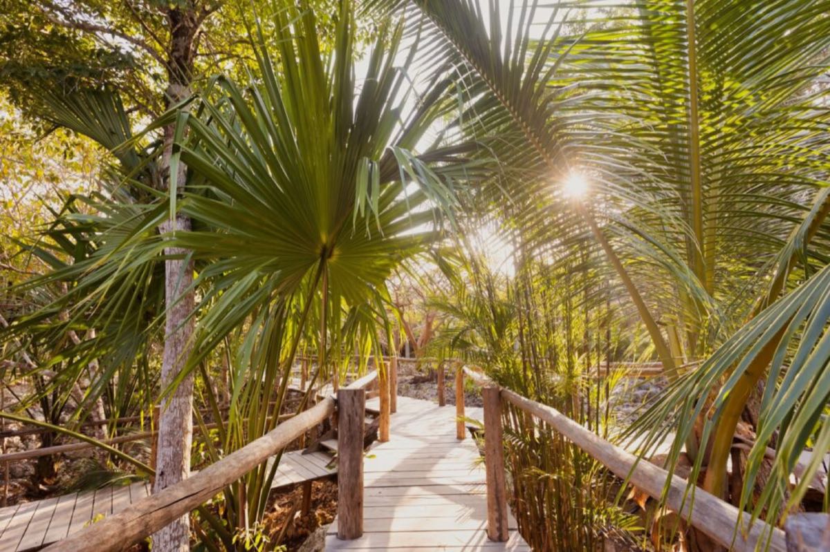 Pepem Holistic Retreat 3